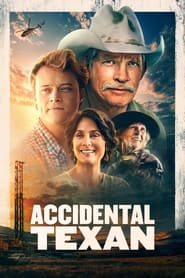 Accidental Texan 2024 Hindi Dubbed