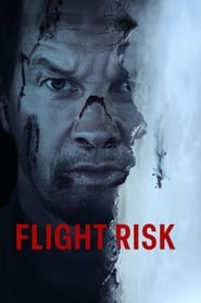 Flight Risk 2025 Hindi Dubbed